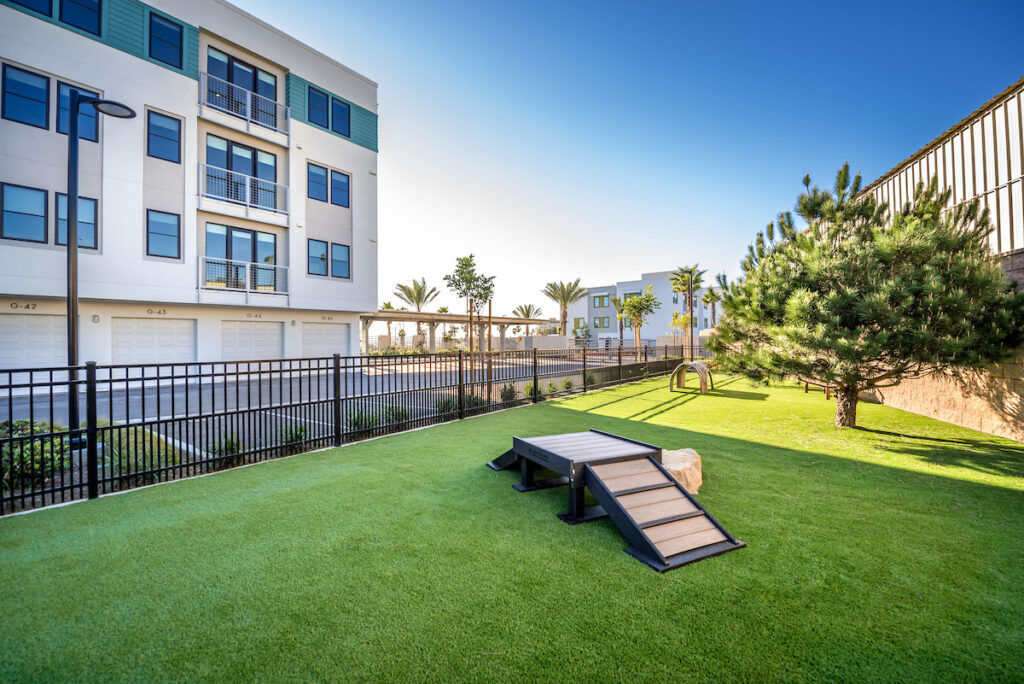 Gated dog park with turf, ramps and obstacles